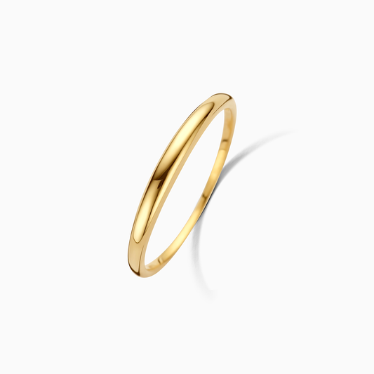 Slanke Dome Ring | Goud