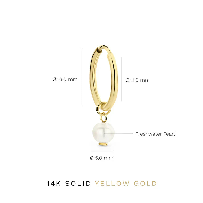 Delia Crest Oorbellen | Goud
