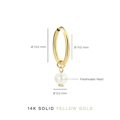 Delia Crest Oorbellen | Goud