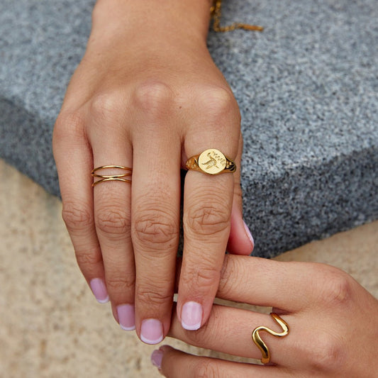 Gouden Kolibrie Signet Ring