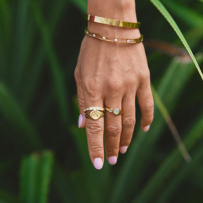 Gouden Kolibrie Signet Ring